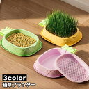 送料無料 猫草プランター 猫草ポット 猫草ボックス 水耕栽培 容器 ケースのみ パイナップル型 鉢 室内 屋内 シンプル おしゃれ ペット用品 ねこ ネコ 犬 ...