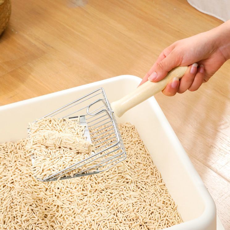 ����̵�� �ȥ��쥹���å� ǭ�������å� ǭ�ѥȥ��쥹���å� �ͥ��ȥ��� �ͤ� ���óݤ� �եå� ����� ����٥� �Ƥ� �٤��� �ڥå�����