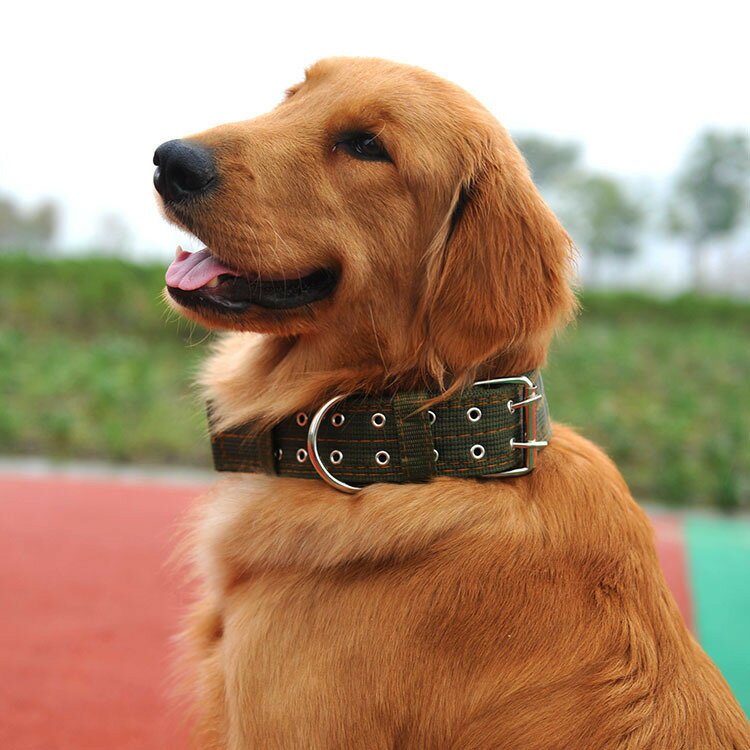 送料無料 首輪 カラー 大型犬 中型犬 いぬ ドッグ ペット用品 お散歩グッズ ナイロン 厚手 幅広 軽量 サイズ調整可能 無地 シンプル