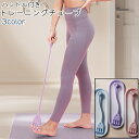 送料無料 トレーニングチューブ ストレッチチューブ レディース 女性 ハンドル付き 持ち手付き ネコ風 猫風 肉球風 シンプル かわいい 可愛い トレーニング ...