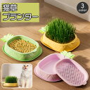送料無料 猫草プランター パイナップル 猫草ポット 猫草ボックス 容器 水耕栽培 おしゃれ かわいい ネコ ねこ キャット くさ 育てる トレイ 簡単 便利 ペ...