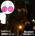 送料無料 首輪用チャーム 2個セット 首輪アクセサリー ペット用アクセサリー LEDライト 光る チャーム 電池式 犬 ドッグ 散歩 夜間 球 丸 ラウンド ペ...