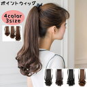 送料無料 ポイントウィッグ ポイントエクステ レディース 女性 ロング ポニーテール 付け毛 ヘアゴム 部分ウィッグ ローポニーテール 一本結び