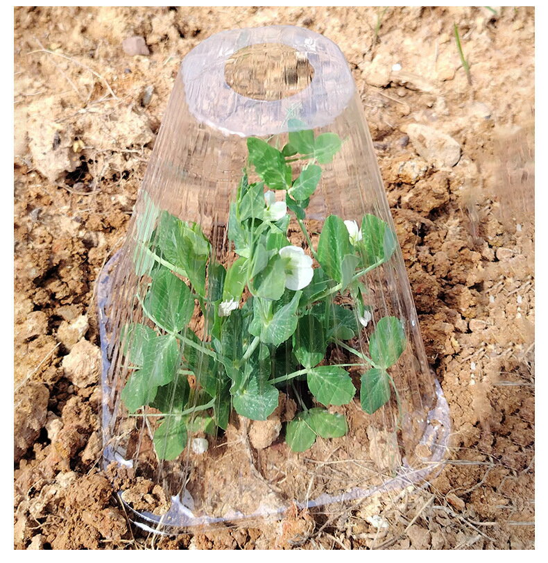 ����̵�� �ĥ��С� �ݲ����С� 10�祻�å� ���Ĵ� ���� ��Ļ �ݲ� �ɴ� �ĥɡ��� �ĥݥå� ������� �����ǥ˥� ���ꥢ Ʃ��