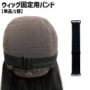 送料無料 ウィッグ固定バンド 単品 1個 ネット固定 ゴムバンド ストラップ ウィッグネット用 ずれ防止 滑り止め サイズ調節可能 フィット カツラ かつら ヘッドバンド ずれにくい フック ブラック 黒