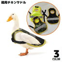 送料無料 チキンサドル 鶏用エプロン 反射ベスト ペット用品 家禽 ニワトリ 無地 迷彩柄 交尾中の踏みつけから背中と羽を保護 着脱簡単 面ファスナー
