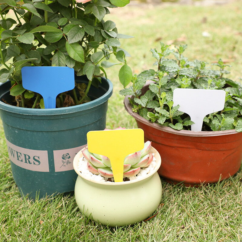 ����̵�� ����ѥ�٥� ñ�� 1�� T�� ��٥�ץ졼�� �͡��ॿ�� �������߼� �����ǥ˥����� ������� ̾������ �����ڱ� �� �����ǥ˥� �� ��