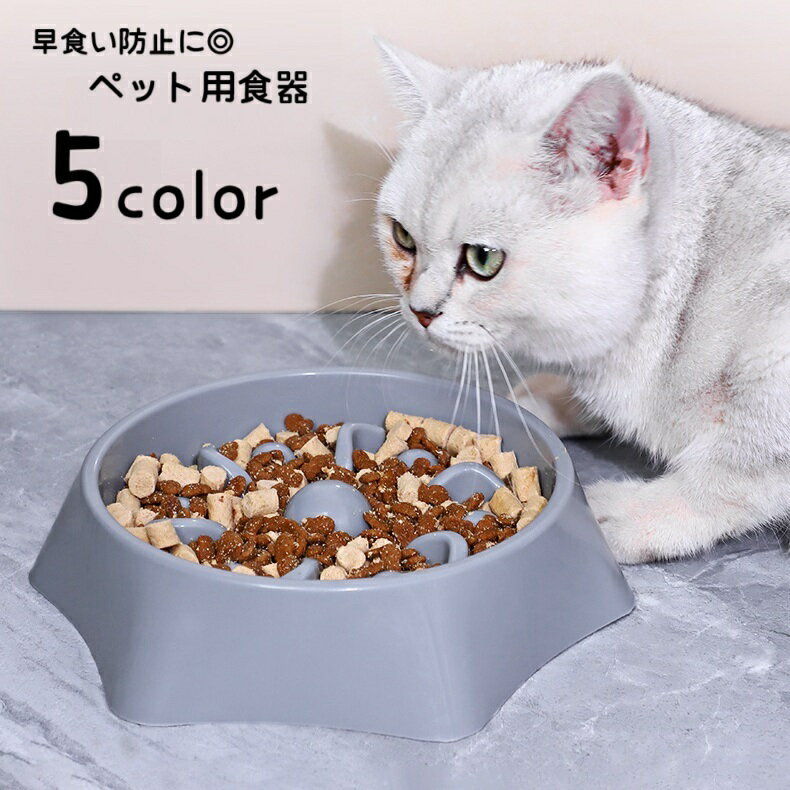 ����̵�� �ա��ɥܥ��� �ڥå��ѿ��� ǭ�ѿ��� ���ѿ��� �������� �Ῡ���ɻ� �»� ��� ��� �̱� �ǥ��ܥ� �������� ���ߤ��դ� �� �ڥå����� �ڥå�...