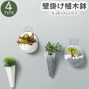 送料無料 壁掛け植木鉢 壁掛けプランター インテリア 屋内用 ガーデニング 花瓶 シンプル コンパクト 小さい 傷つけない プラスチック 割れない おしゃれ 定番