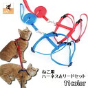 送料無料 リード ハーネス 2点セット 猫用 ペットグッズ ペット用品 リーシュ 散歩紐 お散歩グッズ お出かけ紐 無地 シンプル 単色 ナイロン製 おしゃれ ねこ ネコ 通院 お散歩 外出 移動