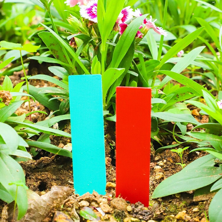 ����̵�� ����ѥ�٥� 100�祻�å� �ե������� �����ǥ˥� ���� ����ȭ �ץ�󥿡� ���� �� ���� �ż� ��ʪ ���� ̵�� ����ץ�