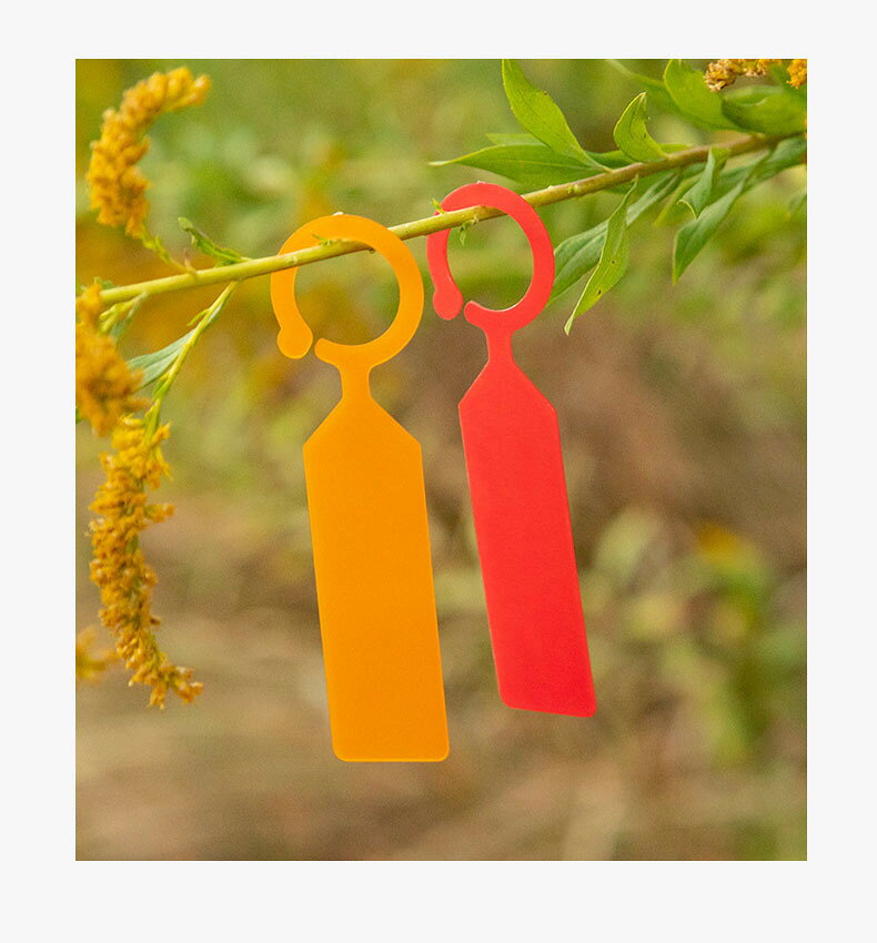 ����̵�� ��ݥ�٥� ��ʪ��٥� 100�祻�å� ������� �ߤ겼�� ���óݤ� �ۥ磻�� ���꡼�� �֥롼 �ԥ� ����Х�˭��