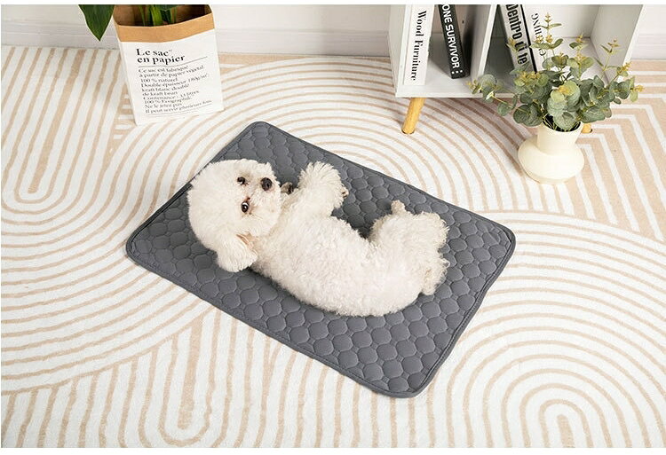 送料無料 ペットマット 犬用マット 猫用マット 犬用品 ペット用品 45×60cm 50×70cm 座布団 お昼寝 長方形 スクエア シンプル 汚れ防止 plusnao-10337183 Plus Nao サンプル画像2