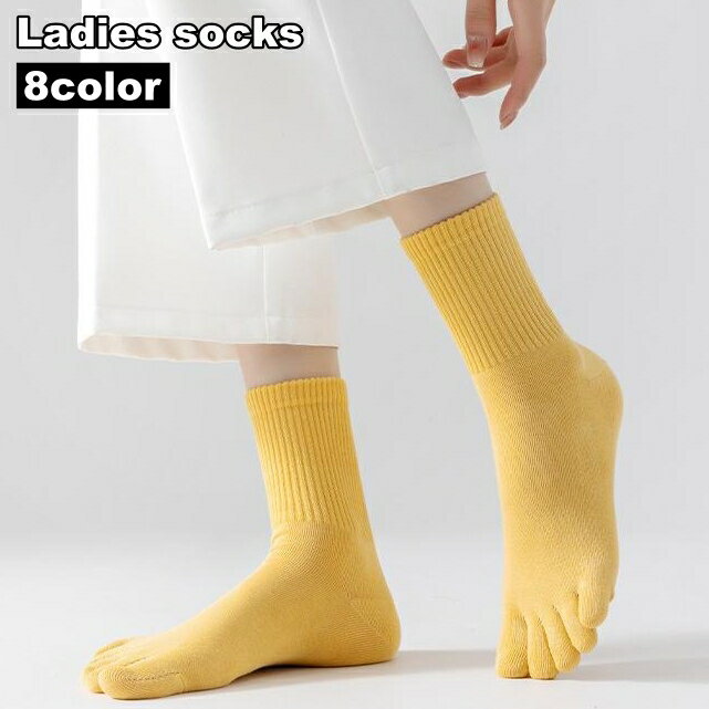 ����̵�� 5�ܻط��� ���å��� ���� ��ǥ����� ���� ���롼���å��� 5�ܻ� ���ܻ� ���Ĳ� ���롼�� ̵�� ñ�� ��� ����ץ� �����奢�� �������