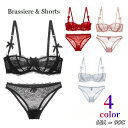 送料無料 ブラジャー ショーツ 上下セット レディース 1/2カップブラ パッド無し パンティー 女性下着 2点セット パンツ インナー シースルー 透け感 ローライズ ヒップハンガーショーツ 総レース リボン ランジェリー 2列ホック 3段ホック セクシー おしゃれ 婦人用 Aカップ