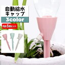 送料無料 自動給水キャップ 自動水やり器 同色6個セット ガーデニング用品 ペットボトル対応 簡単設置 散水器具 給水装置 シンプル 水量調節可能 園芸 盆栽 家庭菜園 野菜 植物 プランター 留守中 旅行中 水切れ対策 簡単 便利 シンプル パステルカラー