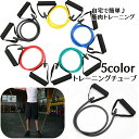 送料無料 トレーニングチューブ エクササイズチューブ フィットネスチューブ ゴムチューブ トレーニングバンド 筋トレ メンズ レディース 男女兼用 トレーニング...