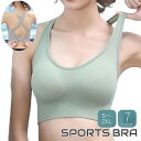 送料無料 スポーツブラ レディース 女性用 スポーツウェア インナー トレーニング ジム ジョギング フィットネス 4段ホック 無地 おしゃれ