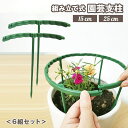 送料無料 園芸支柱 T型支柱 組み立て式 6組セット 植木鉢用 ハーフリング 花支え サポート ガーデニング フラワー 観葉植物 落下 散乱 転倒防止 簡単取付