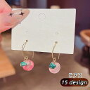 送料無料 ピアス レディース 女性 アクセサリー スタッドピアス フックピアス ハート フラワー 花 リボン フルーツ 果物 大きめ 小さめ ホワイト ピンク ...