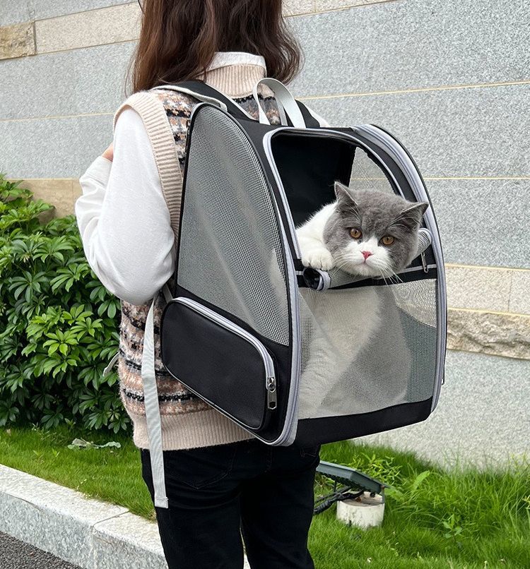 ����̵�� �ڥå��ѥ���꡼�Хå� ���å�����꡼ �ޤꤿ���� ǭ�� ���� ������ �ڥå����� ��å��� �̵��� �����ɥݥ��å��դ� �ե����ʡ� ���å����ե����� ���å��� �ޤ���� ��ư ι�� ���гݤ� �̱� �±� ���� �ͥ��� ������