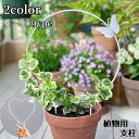 送料無料 植物支柱 園芸支柱 ガーデニング プランター 植物用くい 丸 ハート 植物サポート 蝶々 バタフライ おしゃれ