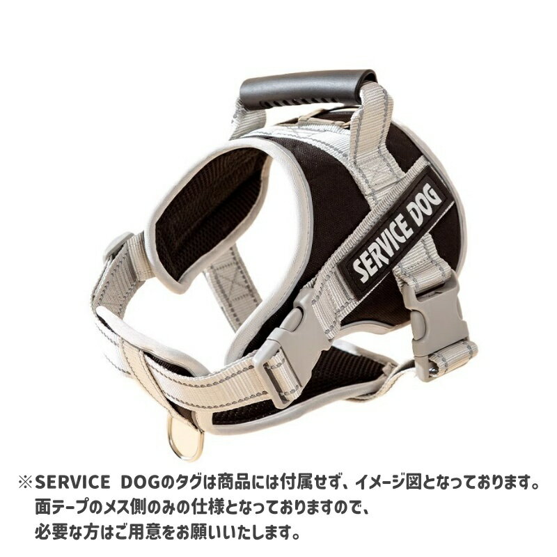 サンプル画像2