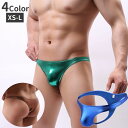 送料無料 Tバック ショーツ メンズ パンツ タンガ ソング ローライズ ヒップハング ビキニブリーフ 下着 浅め 無地 光沢感 シンプル ゴージャス インナー...