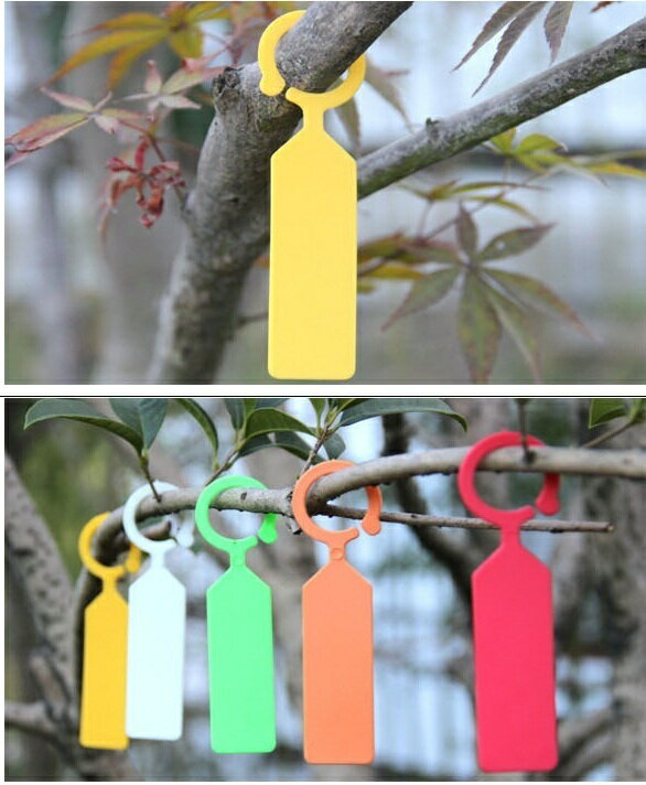 ����̵�� ����ѥ�٥� ����ѥ��� 50�ĥ��å� �ߤ겼�� �եå��� �����ǥ˥����� ������� ��ʪ�ѥ��� û�� �͡���ץ졼�� �ե���٥� �ĥ꡼��٥� �͡��ॿ�� �ޡ����� �����ǥ� �����ڱ� ���� �Ͽ��� ȭ����