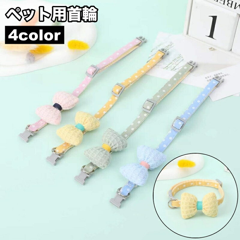 Plus Nao㤨̵  顼 Ӥ ڥå  ǭ ܥ ĳͥ ɥå  襤 ڥåȥåפβǤʤ350ߤˤʤޤ