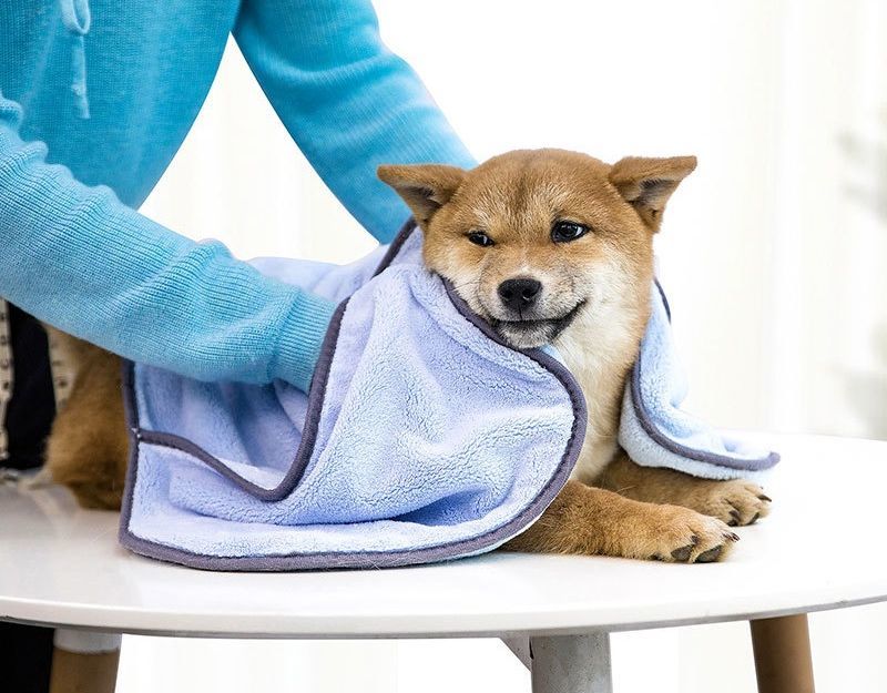 送料無料 ペット用タオル 吸水タオル 35×77cm 猫用 犬用 ペット用品 ループ付き 体...