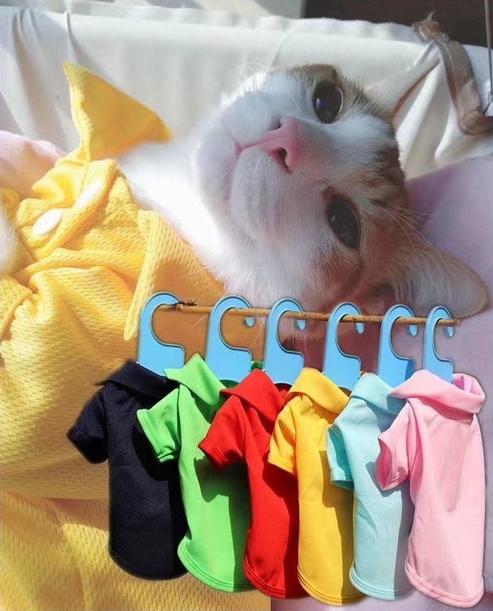 ����̵�� ����åȥ����� ǭ�� �ɥå������� ���� �ݥ������ �ڥå����� ���� Ⱦµ ̵�� ��å��� �̵��� �ղ� ������� �����奢��