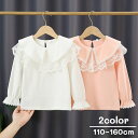 送料無料 カットソー キッズ ジュニア 子供服 子ども服 女の子 トップス 長袖 丸首 ラウンドネック 袖ゴム 背中ボタン フリル レース 襟付き 無地 ホワイ...