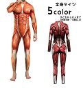 送料無料 全身タイツ ボディタイツ コスチューム コスプレ衣装 仮装 タイツ 大人用 大人 メンズ レディース 男性 女性 筋肉 ハロウィン パーティー イベン...