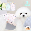 送料無料 ペットウェア ドッグウェア 犬服 猫服 キャミソール 袖なし プルオーバー 裾レース ペット用品 犬の服 猫の服 散歩 洋服 シンプル 可愛い おしゃれ ペットの服 キャットウェア ペットグッズ 外出 お出掛け イヌ用 いぬ用 ネコ用 ねこ用 S M L XL 2XL