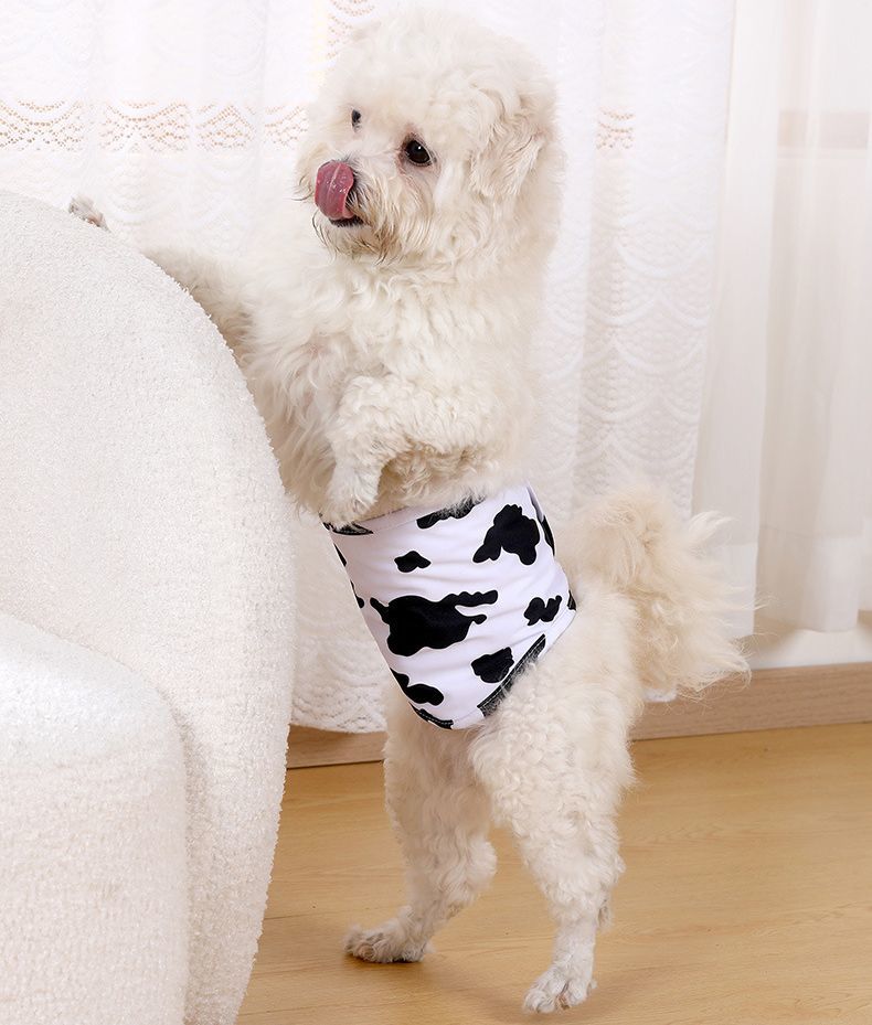 Plus Naoの送料無料 マナーベルト 男の用 オス用 マナーバンド ペット用品 小型犬 中型犬 ペットウェア エチケットグッズ マーキング防止 発情期対策 老犬 介護 プリント 可愛い おしゃれ｜アングル2