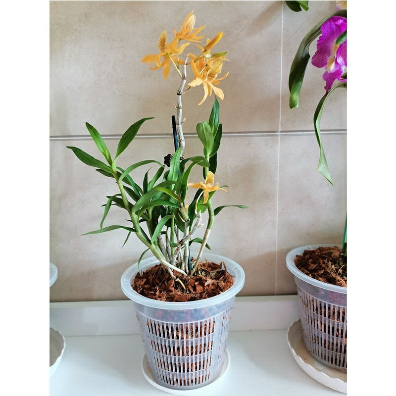 ����̵�� ��̺��ݥݥå� ���ĥݥå� ����ȭ ���Ļ�� �����ǥ˥����� ��å��� ���å� ���տ�ʪ ��� ��ʪ�������å� ������ ��� �̵���