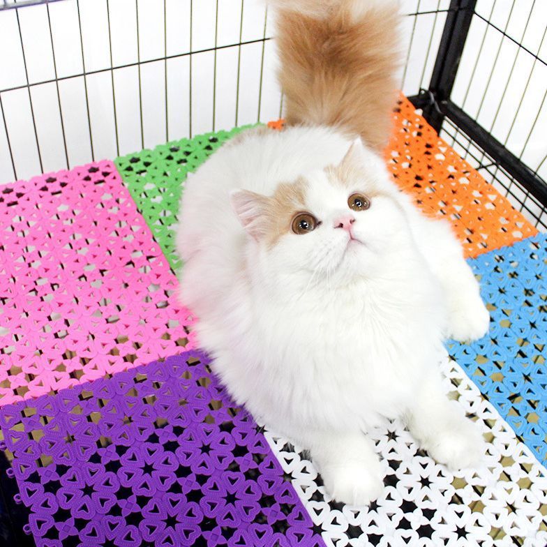 ����̵�� �ڥå��ѥޥå� ñ�� 1�� �ڥå����� �ڥåȥ��å� ǭ�� ���� ǭ �� �ͥ� ���� �������ޥå� �եåȥޥå� ���ߤ� �ѥͥ�ޥå� ���Τ� �Ȥ߹�碌 ������ ��ưʪ ���� �ϥ��� ���襤�� �������