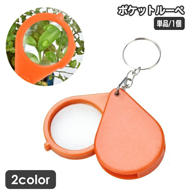 送料無料 ポケットルーペ 拡大鏡 折りたたみ 小型 コンパクト 虫メガネ 虫眼鏡 ミニルーペ 携帯 薄型 ..