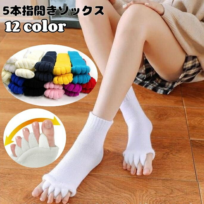 ����̵�� 5�ܻس������å��� ­�س������å��� ���� ��ǥ����� �ե��å����ʪ ���롼���å��� ���å��� ��ե�å��� ������ ����Х�˭��