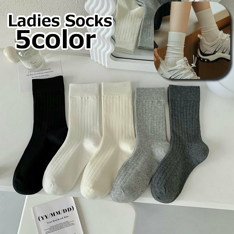 ����̵�� ���� ���롼���å��� ��ǥ����� �ؿ��� ������ ����ץ� �������륽�å��� ���롼�� �ߥǥ��� ������� �����奢�� ���ݡ��ƥ���