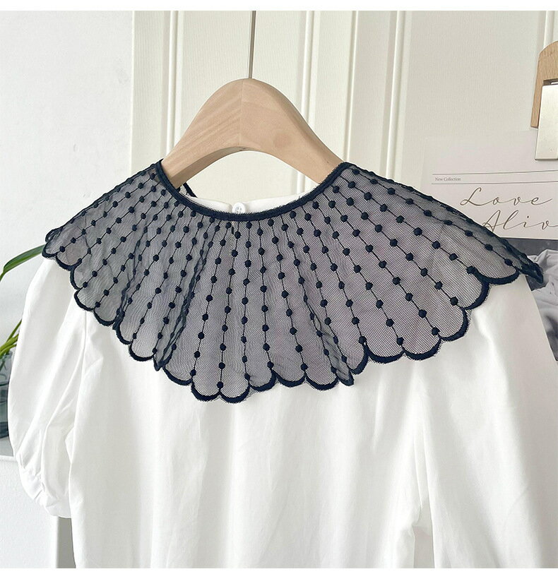 ����̵�� �Ĥ��� �դ��� �դ��� ��ǥ����� ���� �ե��å����ʪ �졼�� �ե������ѡ��� ������� ��ޯ�� ���襤�� ���� ���� ���� ���� ���ƤФ� ���Ф���������