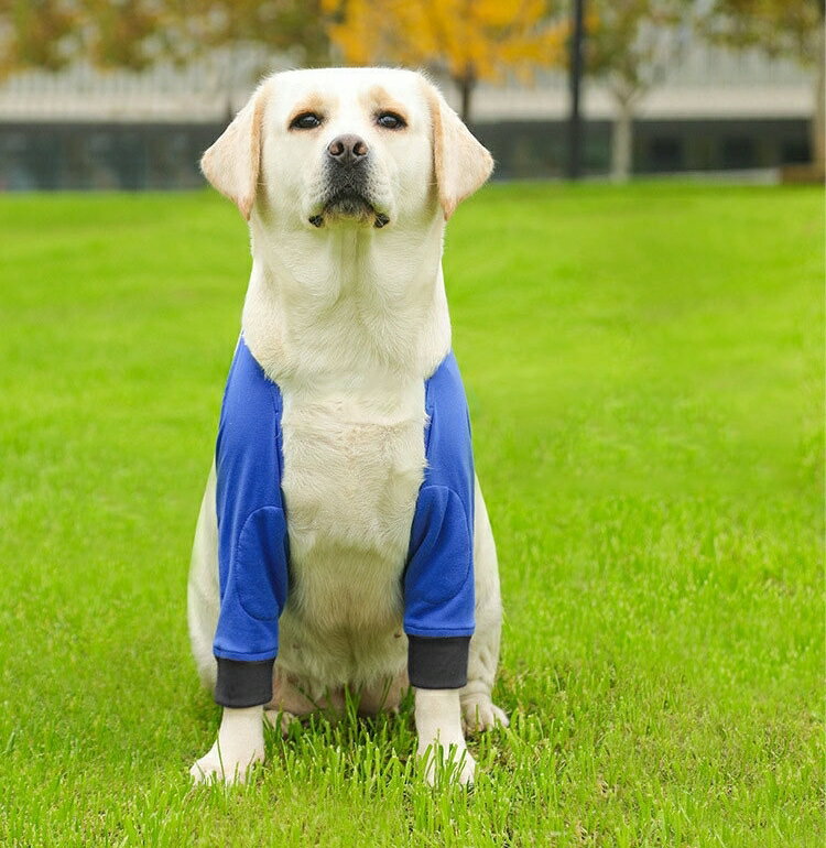 ����̵�� ���ѥ��ݡ����� �ڥå��� ɪ ξ­ ��­ ���ݡ��� �к� �ݸ� ���� ���Ӥ��ɻ� Ϸ����� ��­�ݸ� �������ɻ� ��å������� �ڥå����� �ڥåȥ��å�