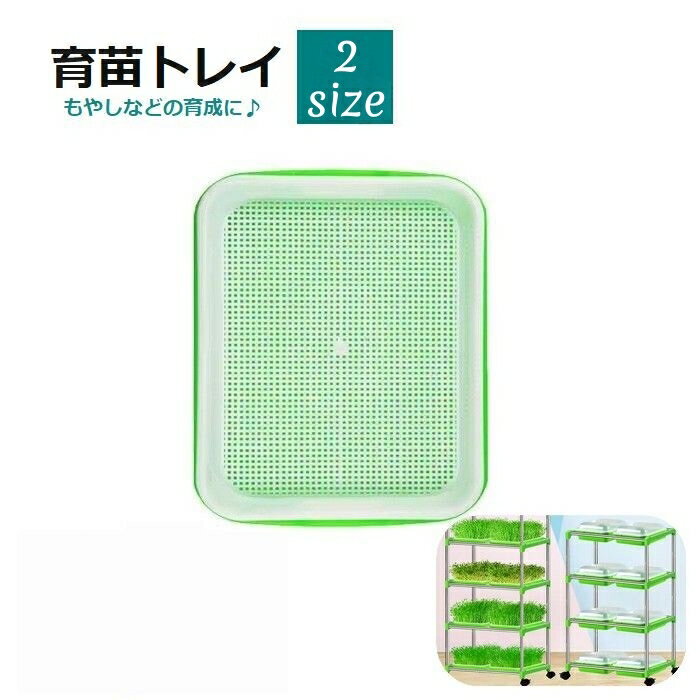 送料無料 育苗トレイ 育苗トレー 農業用品 ガーデニング用品 植栽トレイ 水栽培 もやし スプラウト カ..