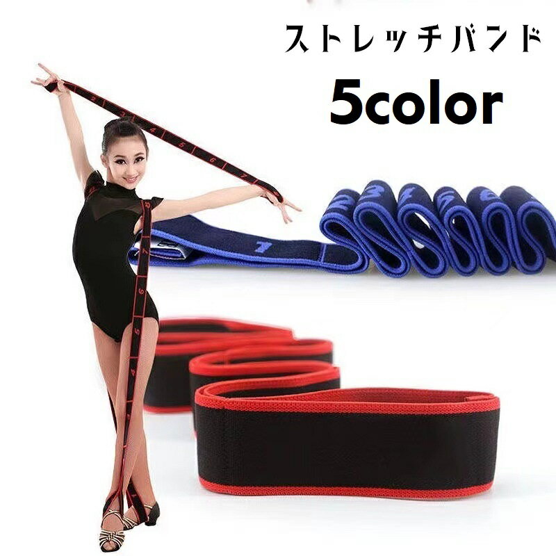 送料無料 ストレッチバンド エクササイズバンド ストラップバンド 8段階 ストラップループ 伸縮性 フィットネスグッズ トレーニンググッズ 持ち運び コンパクト バレエ ダンス ヨガ エクササイズ 健康器具 数字 多用途 伸びる おしゃれ 自宅 スタジオ 習い事 赤 ピンク 青 黄