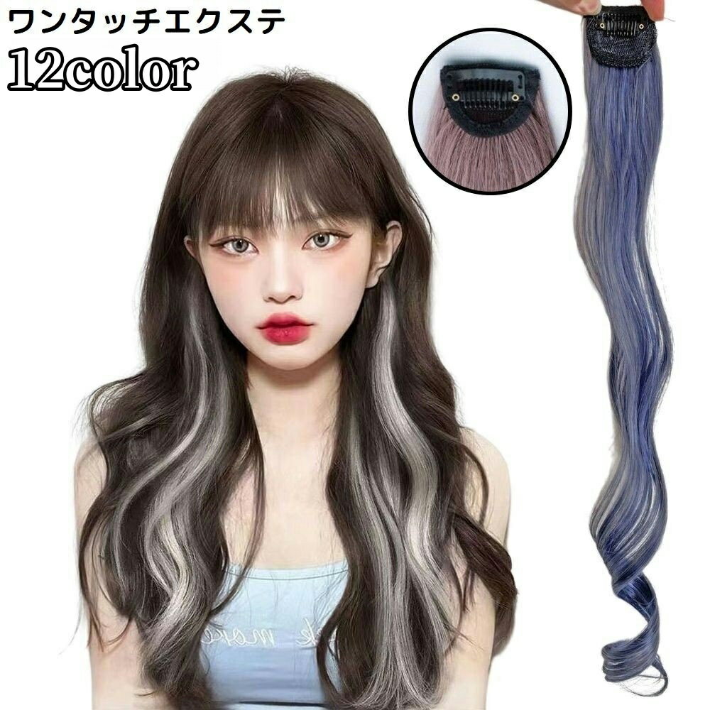 送料無料 エクステ エクステンション ワンタッチ ポイントウィッグ レディース つけ毛 襟足 カール ロング メッシュ グラデーションカラー