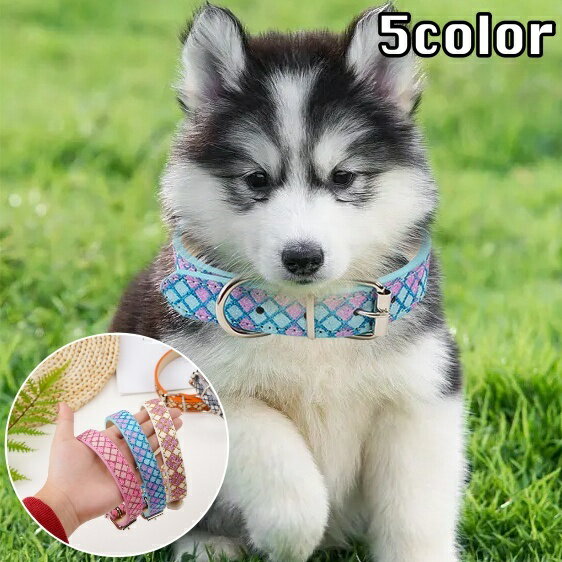 送料無料 首輪 カラー 犬用 猫用 ペット用 ドッグ キャット ベルトタイプ ラメ キラキラ チェック柄 おしゃれ かわいい お散歩 お出かけ ペット用品 ペットグッズ