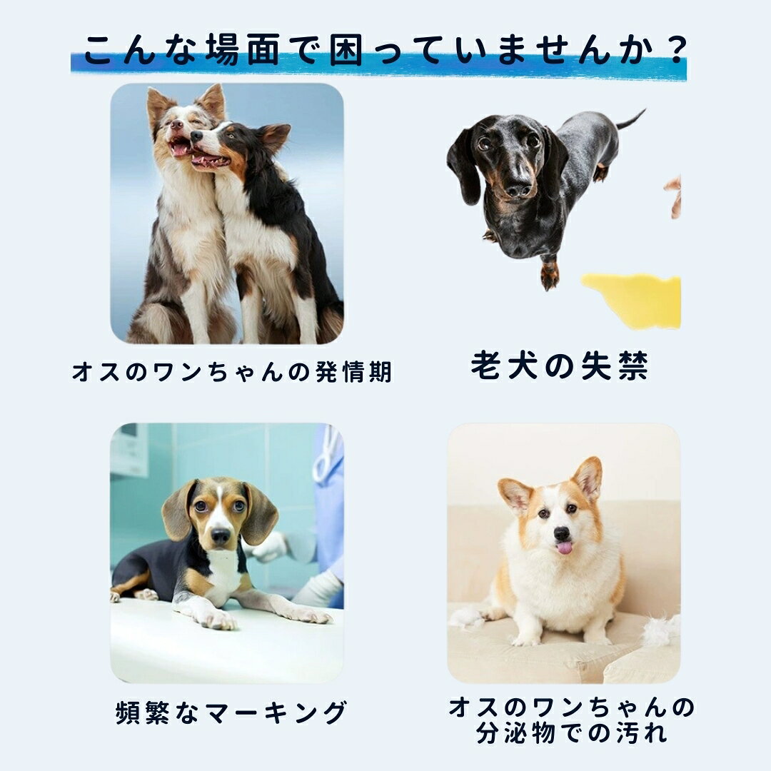 Plus Naoの送料無料 マナーベルト 男の用 オス用 マナーバンド ペット用品 小型犬 中型犬 ペットウェア エチケットグッズ マーキング防止 発情期対策 老犬 介護 プリント 可愛い おしゃれ｜アングル3
