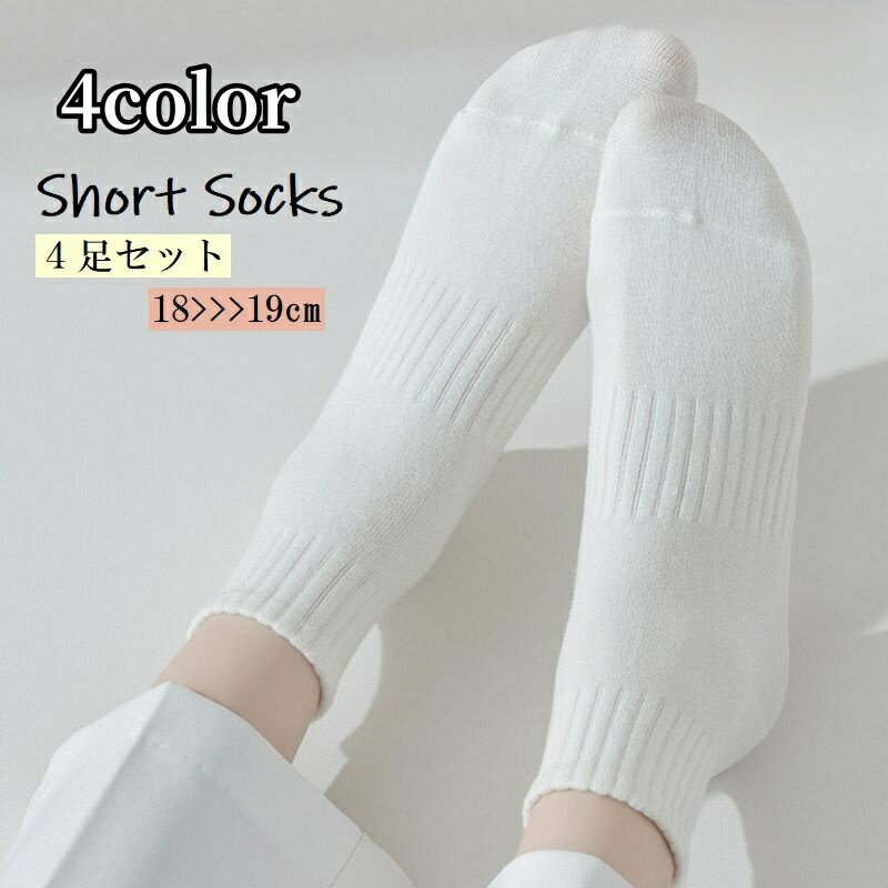 ����̵�� ���硼�ȥ��å��� ���롼���å��� 4­���å� �Ҷ��� ���å� ����˥� �ˤλ� ���λ� ���� ���Ĳ� ̵�� ñ�� ����ץ� ���襤�� ������� ������...