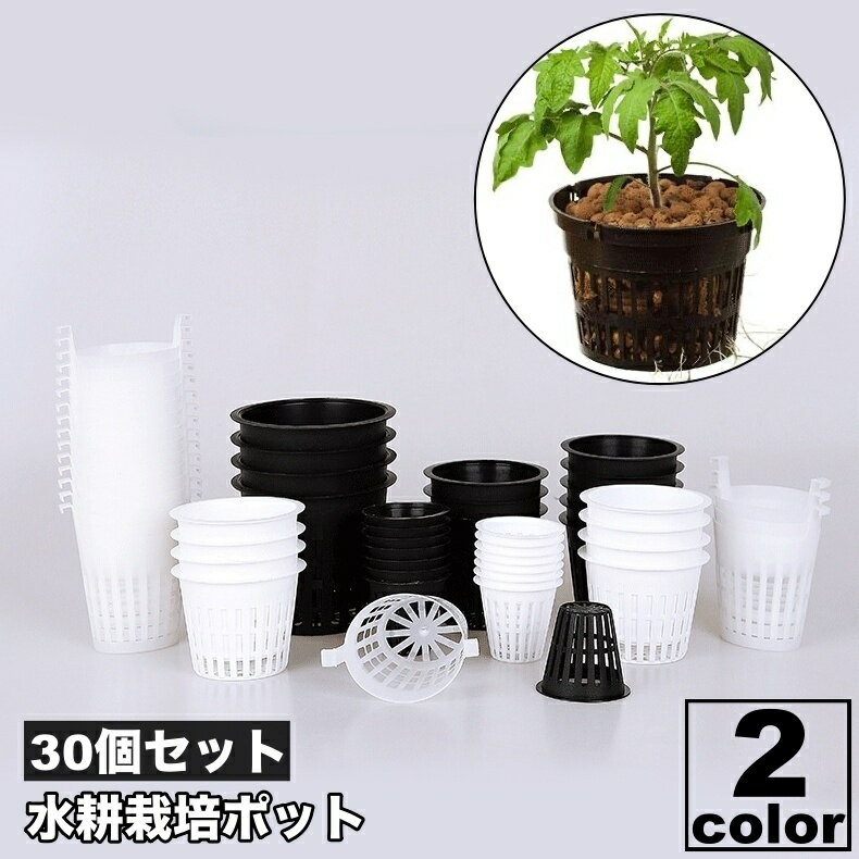 送料無料 水耕栽培ポット 育苗ポット 30個セット 植木鉢 育苗 ガーデニング用品 メッシュ 植物 花 観葉植物 野菜 植物育成カップ 給水栽培 園芸 通気性 ブラック ホワイト 黒 白